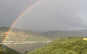 Ferienwohnung Rheinblick